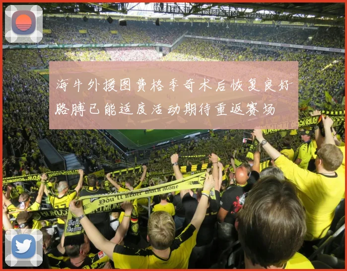 海牛外援图费格季奇术后恢复良好胳膊已能适度活动期待重返赛场